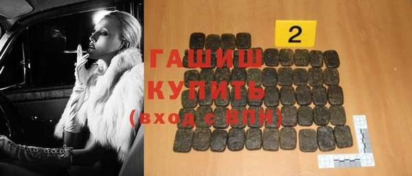 индика Карпинск