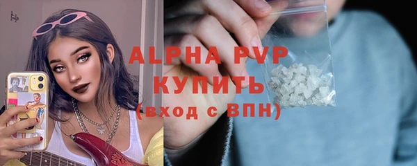 шишки Касимов
