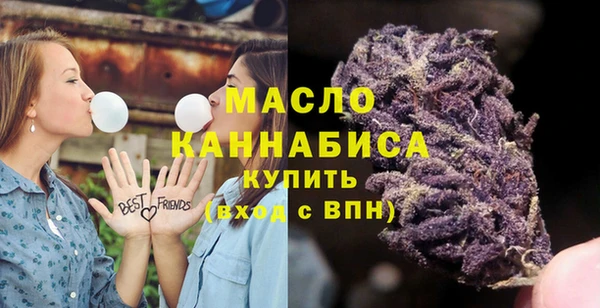 спайс Каменка