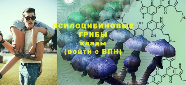 спайс Каменка