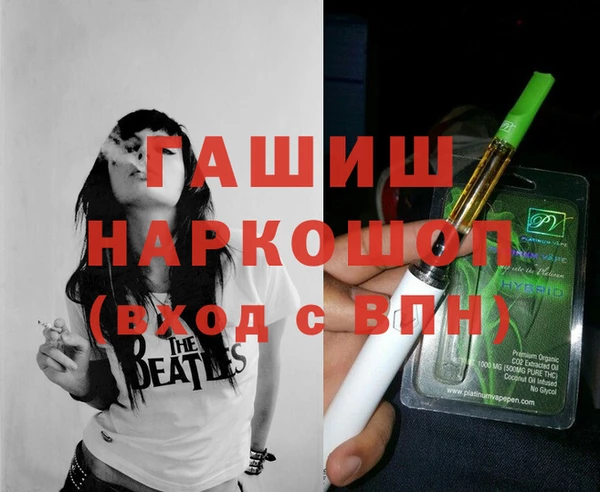 индика Карпинск