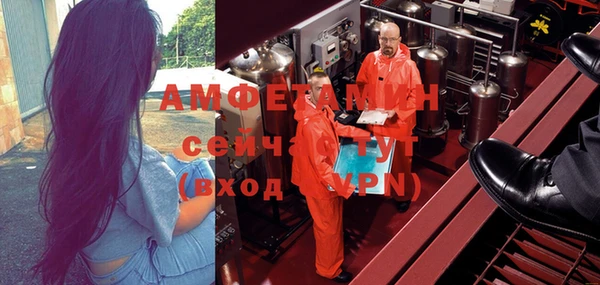 индика Карпинск