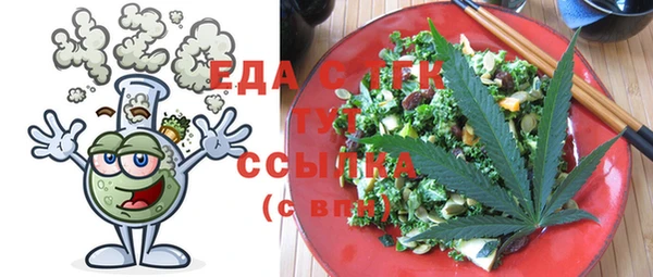 спайс Каменка