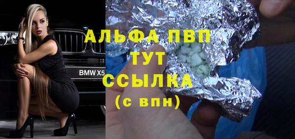 индика Карпинск