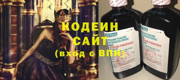 спайс Каменка