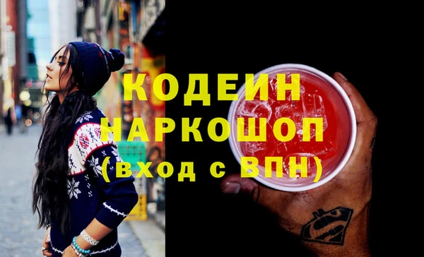 индика Карпинск