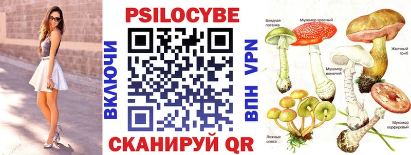 Псилоцибиновые грибы Psilocybe  где можно купить наркотик  OMG зеркало  Майкоп 